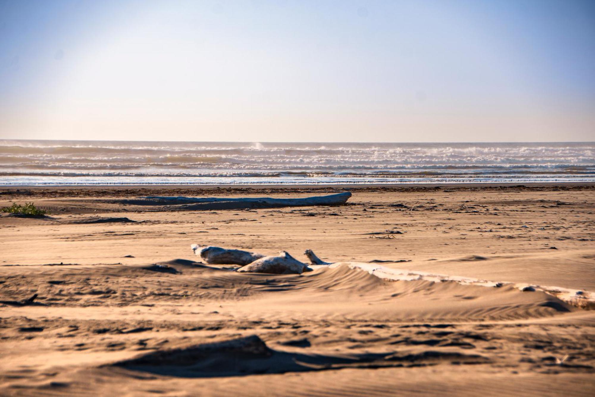 Surfcrest Resort Copalis Beach エクステリア 写真